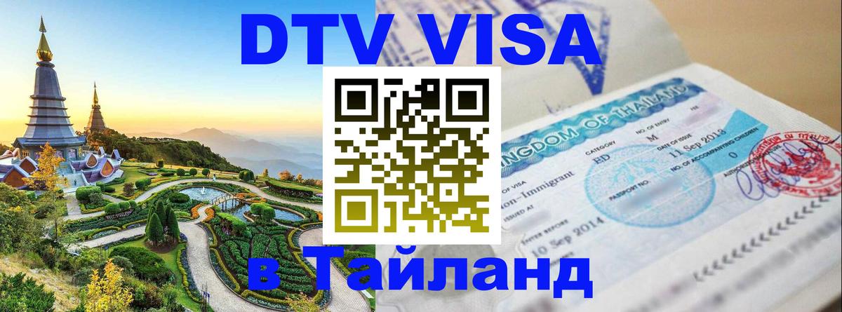 Сколько стоит DTV виза — актуальные цены, оформление даже без документов - 19.11.2025 